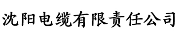 抖淫电缆厂logo